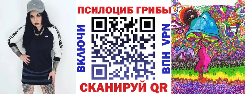 omg как войти  Чита  сайты даркнета состав  Псилоцибиновые грибы прущие грибы 
